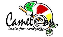 Cameleon image